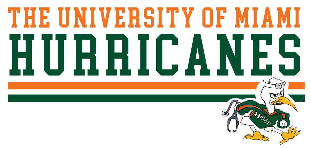 hurricanes tshirt